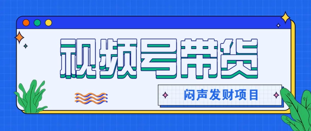 微信视频号带货项目，轻松日赚赚2000+，这个挣钱入口很多伙伴都在闷声发财-资源社·项目库