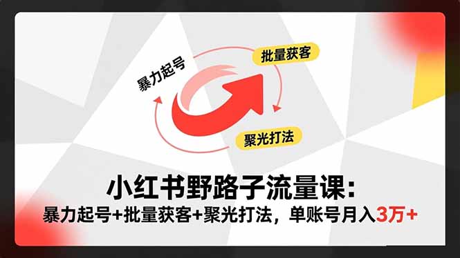 小红书野路子流量课：暴力起号+批量获客+聚光打法，单账号月入3万+-资源社·项目库