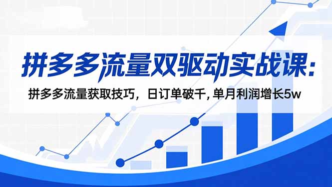 拼多多流量双驱动实战课：拼多多流量获取技巧，日订单破千,单月利润增长5w-资源社·项目库