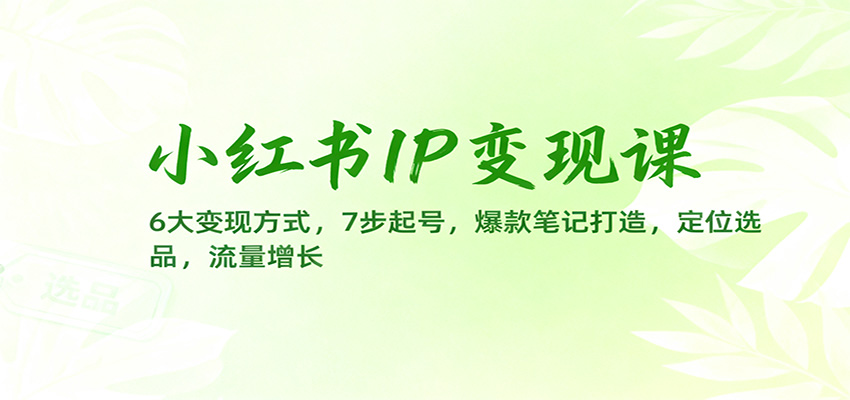小红书IP变现课：6大变现方式，7步起号，爆款笔记打造，定位选品，流量增长-资源社·项目库